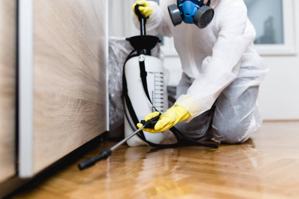 Best Wildlife Control Services  in Robert Lee, TX