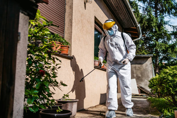 Best Affordable Pest Control Services  in Robert Lee, TX