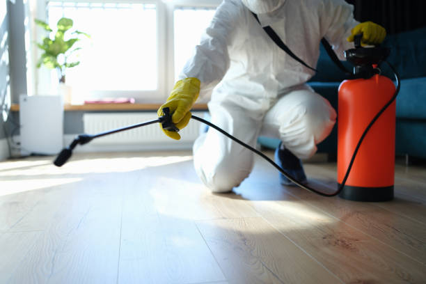 Best Best Pest Control Companies  in Robert Lee, TX