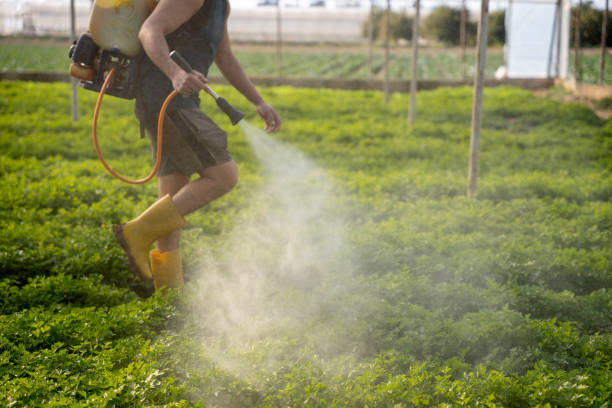 Best Pest Control Near Me  in Robert Lee, TX