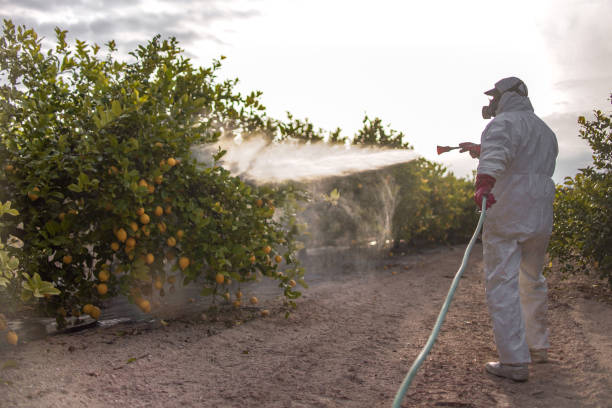 Best Pest Control Near Me  in Robert Lee, TX
