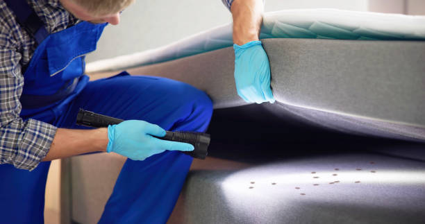 Pest Control for Restaurants in Robert Lee, TX