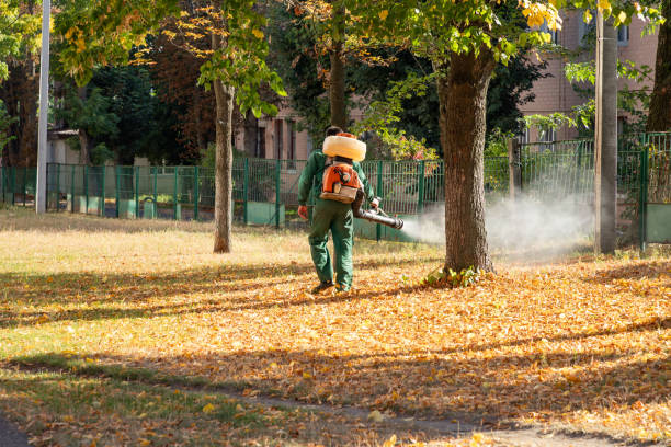 Best Emergency Pest Control  in Robert Lee, TX