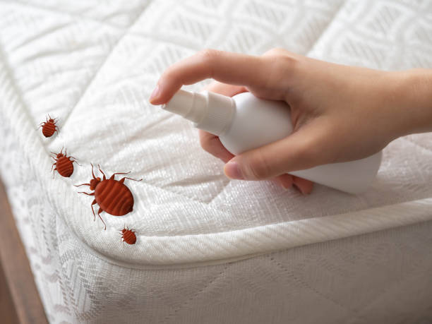 Robert Lee, TX Pest Control Company