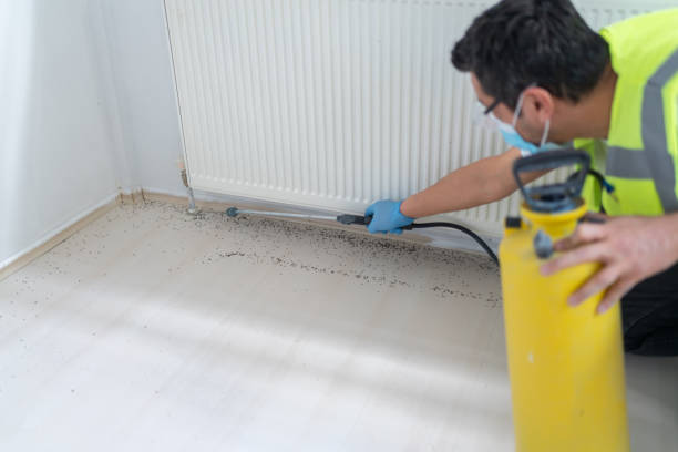 Best Mosquito Control Services  in Robert Lee, TX