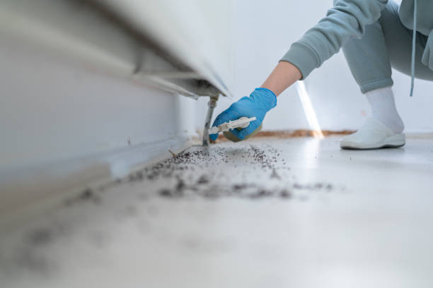 Best Residential Pest Control  in Robert Lee, TX